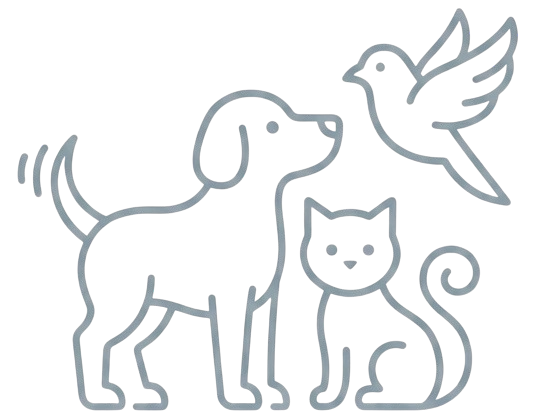 pet-shop